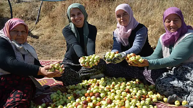 Hünnap mesaisi başladı
