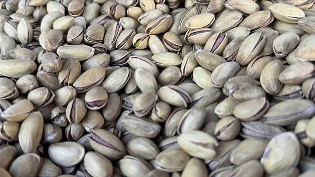 İhracat 152 milyon 622 bin dolar oldu