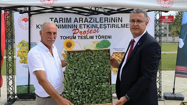 İhracata uygun sebze üretilecek