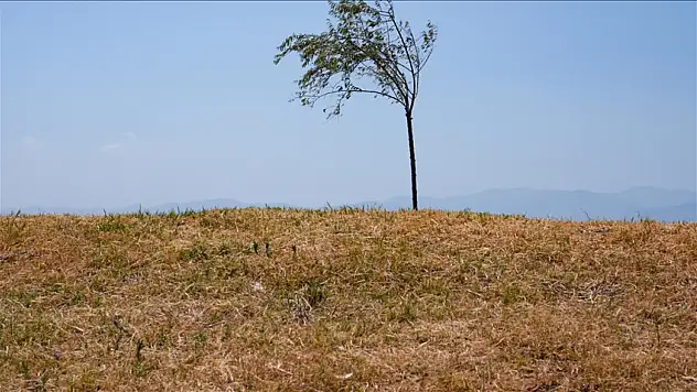 İzmir'in İçme Suyu Barajları Alarm Veriyor
