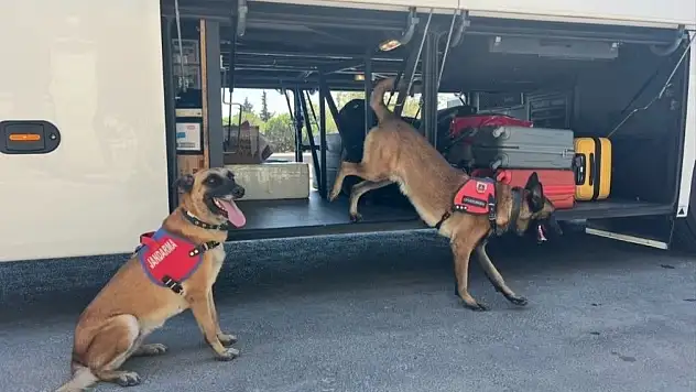 Jandarma'dan Uyuşturucu Denetimi : 84 Araç Durduruldu