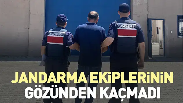 Jandarma ekiplerinin gözünden kaçmadı