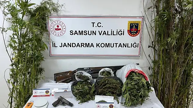 Jandarmadan uyuşturucu operasyonu