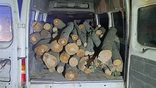 Kaçak orman ürünleri ele geçirildi