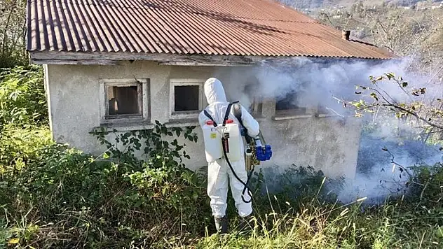 Kahverengi kokarcayla mücadele dört koldan devam ediyor