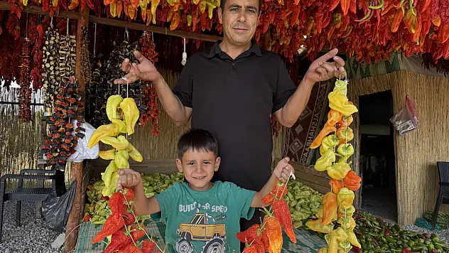 Kale Biberi Dünya Pazarına Çıkıyor