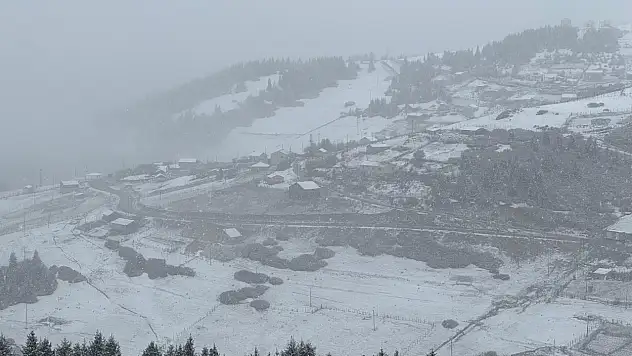 Karadeniz'de bazı yerler beyaza büründü