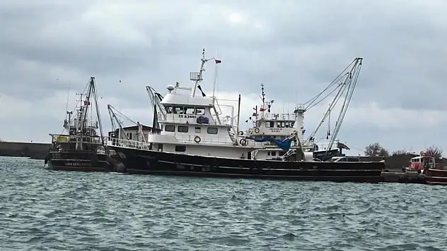 Karadeniz'de Lüfer Tezgâha İnmiyor