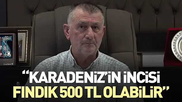 Karadeniz'in incisi fındık 500 TL olabilir