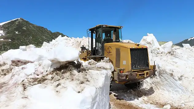 Karadeniz'in yaylalarında hummalı har temizliği