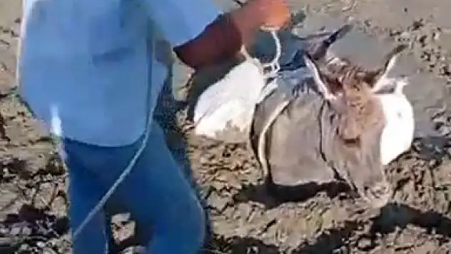 Kars'ta eşek çamura saplandı