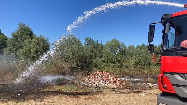 Kavak'ta ot yangını