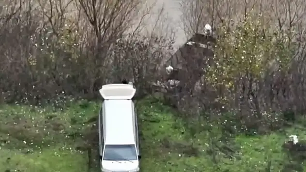 Kayıkla getireceklerdi: 106 kilo zehir yakalandı