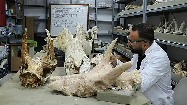 Kayseri'de 7,7 milyon yıllık 3 fil kafatası bulundu