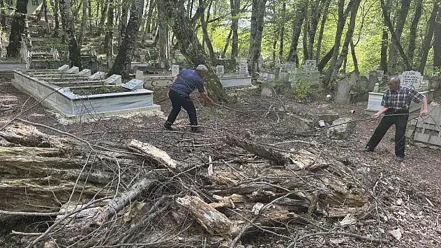 Kendiliğinden kopmuş olsa bile dalları evlerine götürmüyor