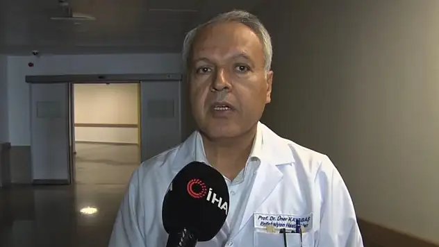 Kene birden fazla virüsü insana bulaştırıyor