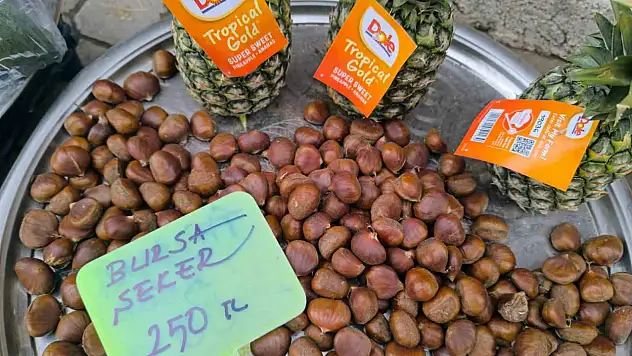 Kestane yüzleri güldürdü