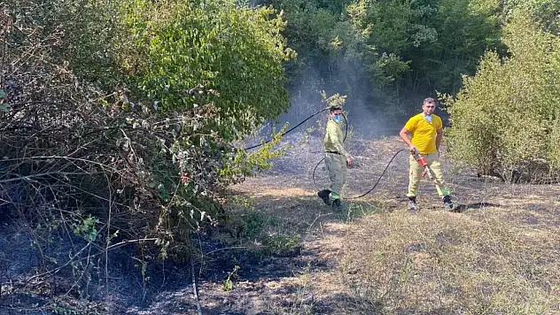 Kırklareli'de orman yangını
