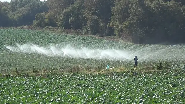 Kışlık sebze ekimi başladı