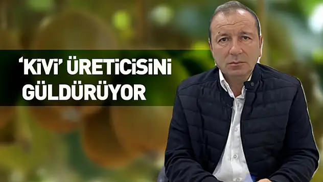 'Kivi' üreticisini güldürüyor