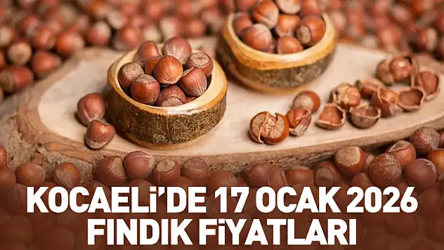 Kocaeli'de 17 Ocak 2026 Fındık Fiyatları: Marmara piyasasında sınırlı artış sürüyor