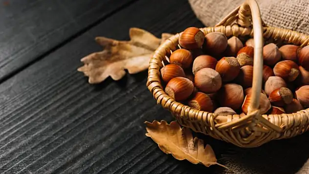 Kocaeli'de 22 Kasım 2025 Fındık Fiyatları: İlçelerde Güncel Durum