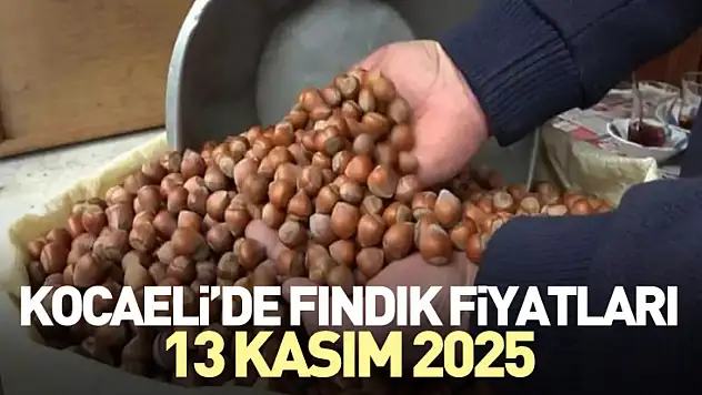 Kocaeli'de Fındık Fiyatları 13 Kasım 2025