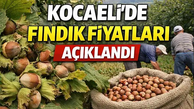 Kocaeli'de Fındık Fiyatları Açıklandı: Kandıra Üretimi Rakamları Belirliyor