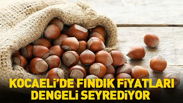Kocaeli'de Fındık Fiyatları Dengeli Seyrediyor