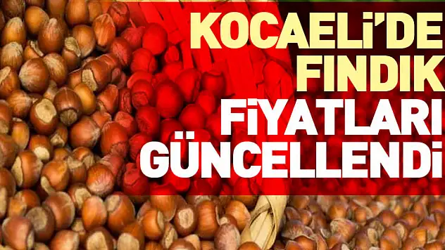 Kocaeli'de Fındık Fiyatları Güncellendi
