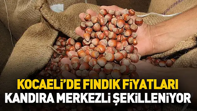 Kocaeli'de Fındık Fiyatları Kandıra Merkezli Şekilleniyor