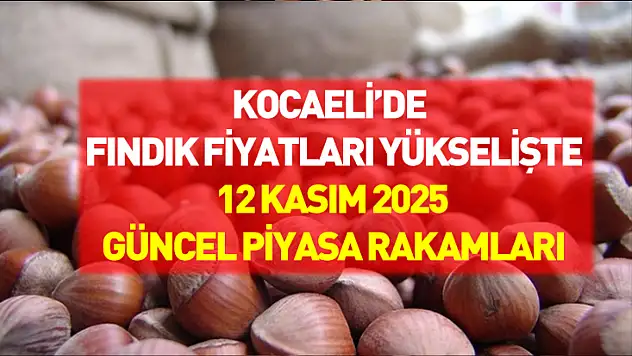 Kocaeli'de Fındık Fiyatları Yükselişte: 12 Kasım 2025 Güncel Piyasa Rakamları