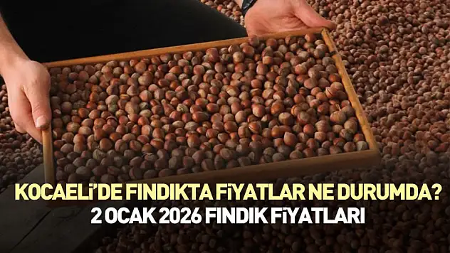Kocaeli'de Fındıkta Fiyatlar Ne Durumda?| 2 Ocak 2026 Fındık Fiyatları