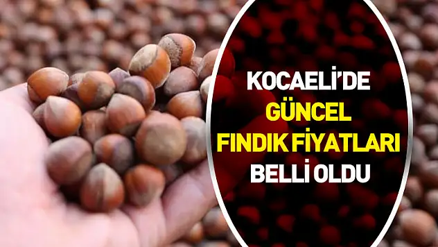 Kocaeli'de Güncel Fındık Fiyatları Belli Oldu