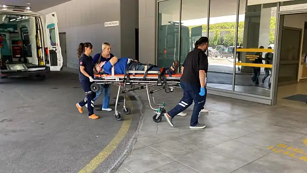 Kocaeli'de otomobil ağaca çarptı