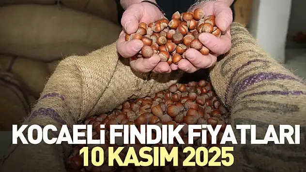 Kocaeli Fındık Fiyatları 10 Kasım 2025