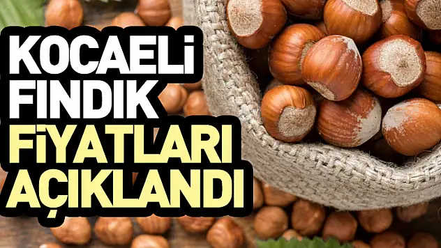 Kocaeli Fındık Fiyatları Açıklandı