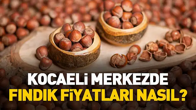 Kocaeli merkezde fındık fiyatları nasıl?
