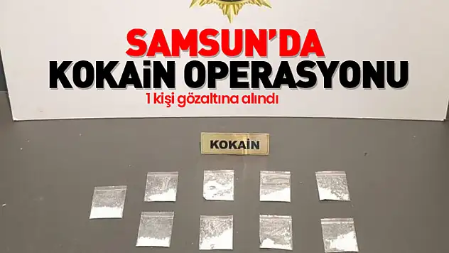 Kokain operasyonunda 1 gözaltı