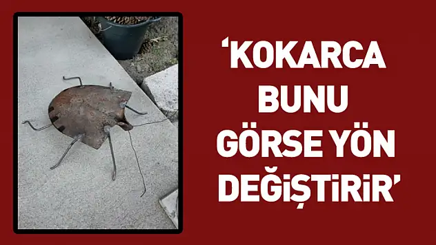 'Kokarca Bunu Görse Yön Değiştirir'