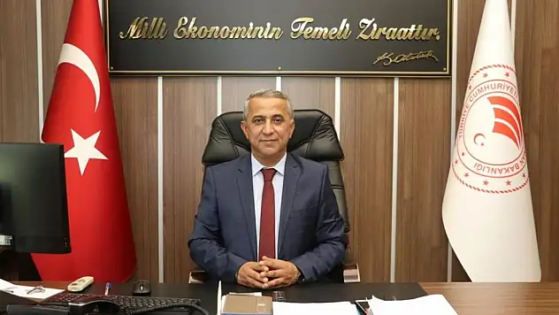 Kokarcada kritik dönem başladı