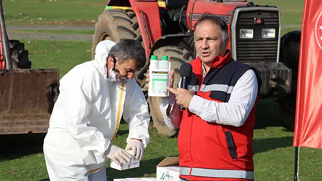 Kokarcaya karşı Terme alarmda