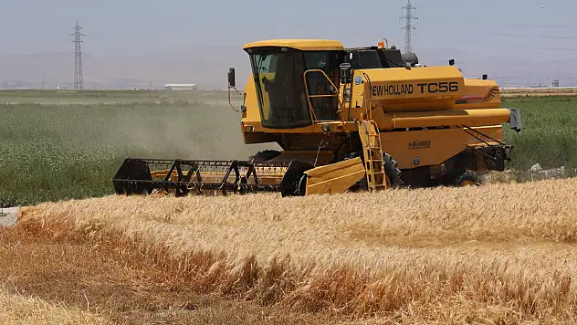Konya'da hububatta ciddi rekolte kaybı