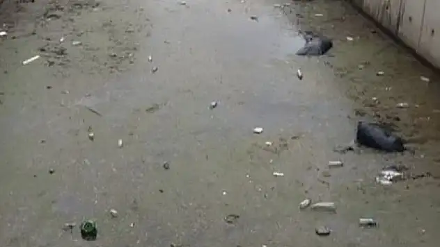 Körfez çöplüğe döndü