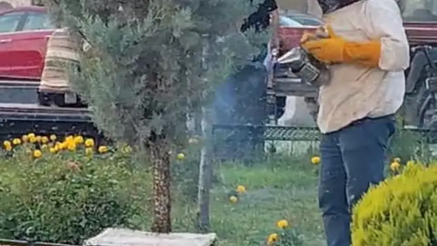 Kovandan kaçan Kraliçe arı bir sokakta paniğe neden oldu
