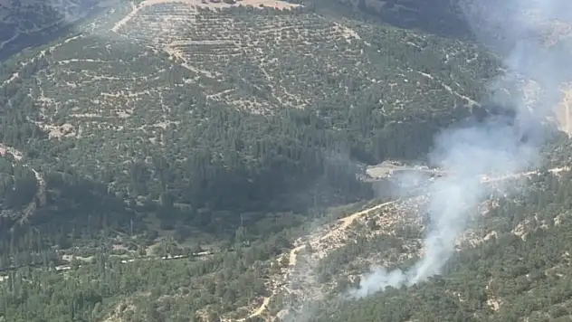 Kütahya'daki orman yangınında zarar büyük
