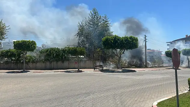 Manavgat'ta çıkan yangın korkuttu