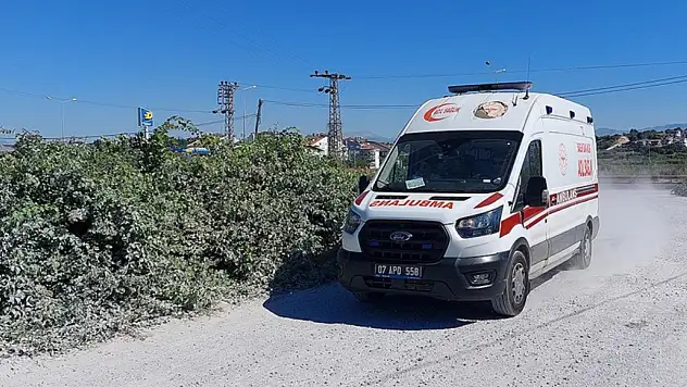 Manavgat'ta hayvan parkından firar eden aslan vurularak etkisiz hale getirildi
