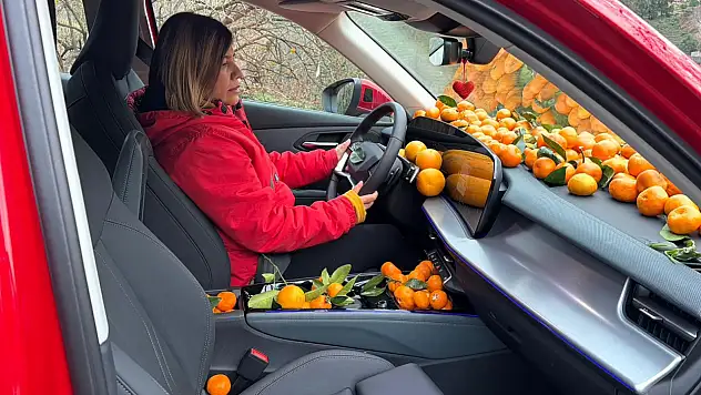 Mandalina Bolluğu Yollara Taştı