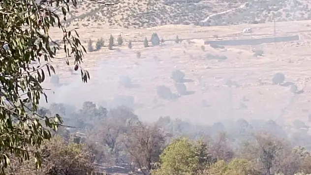 Mardin'de çıkan orman yangını söndürüldü